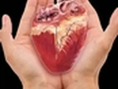 پیوند اعضای جوان ۳۲ ساله به سه بیمار حیاتی دوباره بخشید