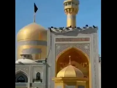 حرم امام رضا (ع) سیاه‌ پوش امام عسکری (ع) شد + فیلم