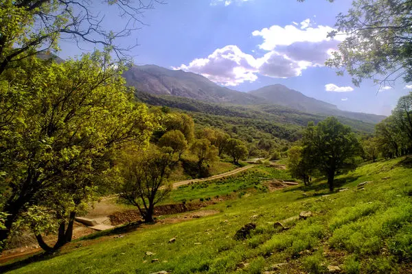 پیوستن استان مرکزی به جمع استان‌های زاگرسی کشور