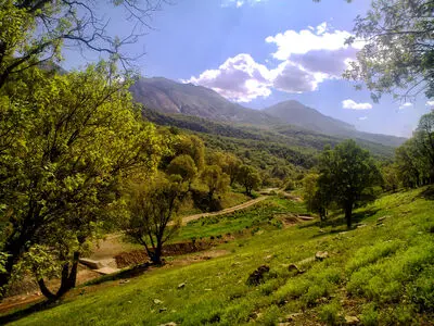 پیوستن استان مرکزی به جمع استان‌های زاگرسی کشور