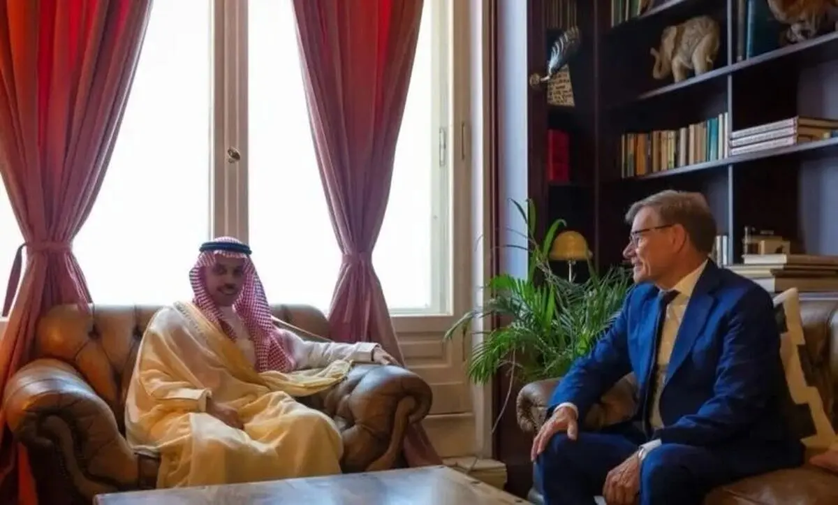 عربستان و آلمان خواستار عادی شدن وضعیت تنگه هرمز شدند
