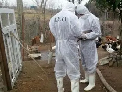 شروع طرح پایش سرمی بیماری انفلوآنزای فوق حاد در طیور بومی لرستان