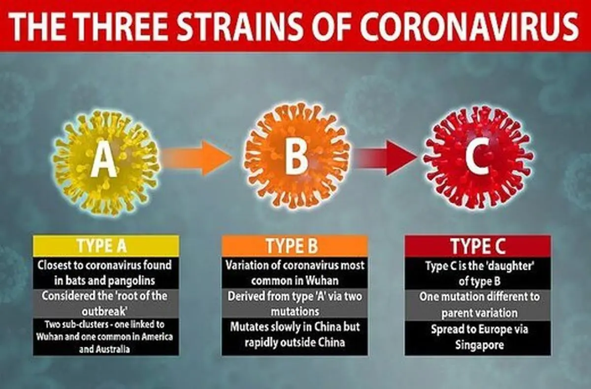 شناسایی ۳ گونه‌ مختلف ویروس کرونا توسط محققان دانشگاه کمبریج