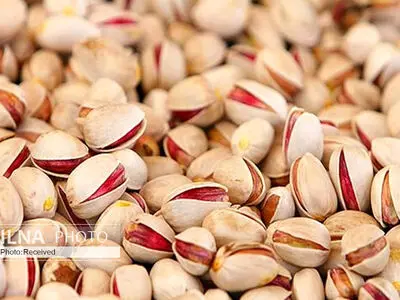 خراسان‌ رضوی مقام دوم تولید و سطح زیر کشت پسته را در کشور دارد