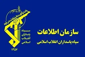 بازداشت شماری از مزدوران دشمن آمریکایی - صهیونی در ایلام