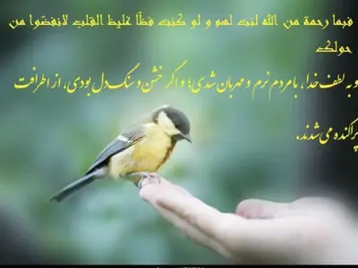 به سهم خودم شرمنده و عذرخواهم