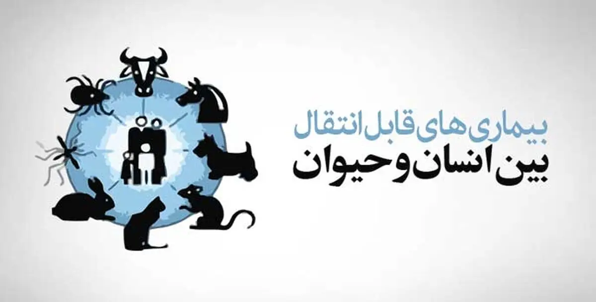 وجود ۷۰۰ تا ۸۰۰ بیماری مشترک بین انسان و حیوان