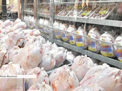 توزیع ۴۵۰ تُن مرغ تازه تنظیم بازار در میادین میوه و تره‌بار