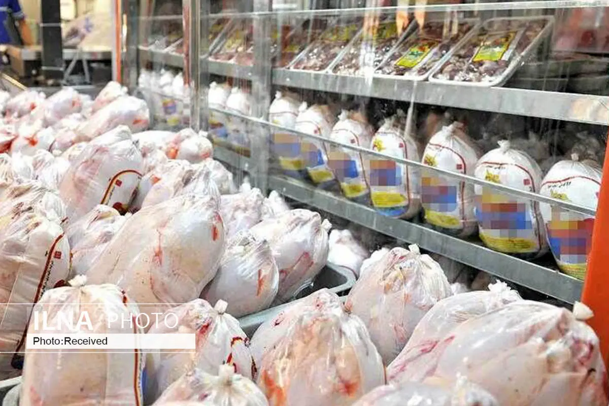 کاهش تعرفه صادرات مرغ به گمرکات ابلاغ شد
