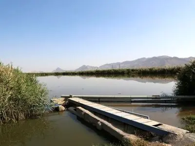 رونمایی از طرح جامع خودکار تصفیه فاضلاب به وسیله تالاب‌های هیبریدی