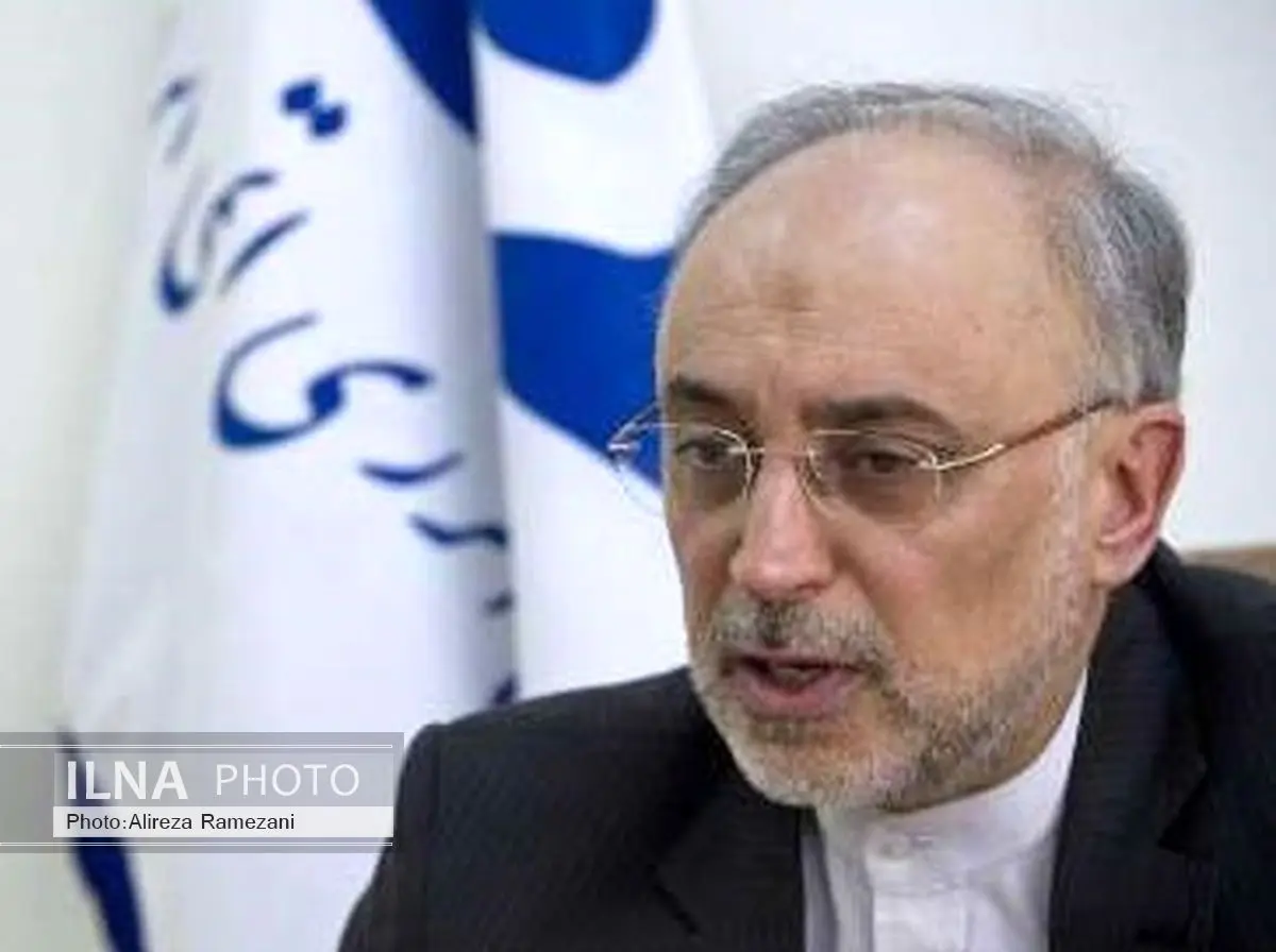 Salehi: Iran nuclear enrichment process making progress