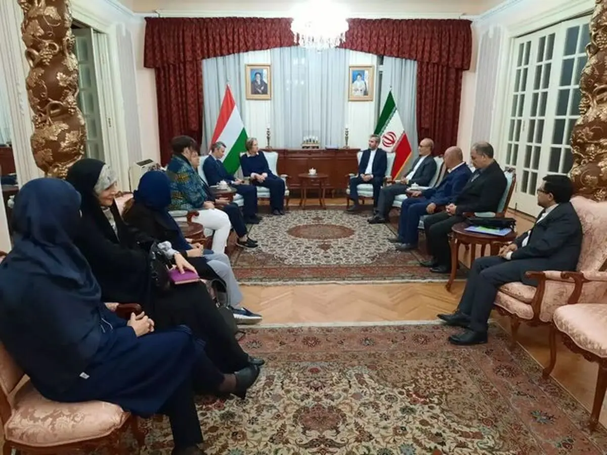 دیدار معاون وزیر امور خارجه با تعدادی از ایران‌شناسان مجارستانی