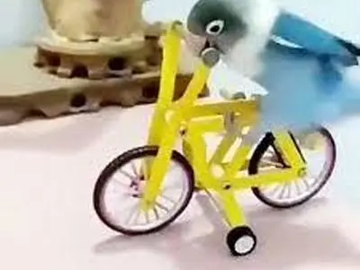 asdasd