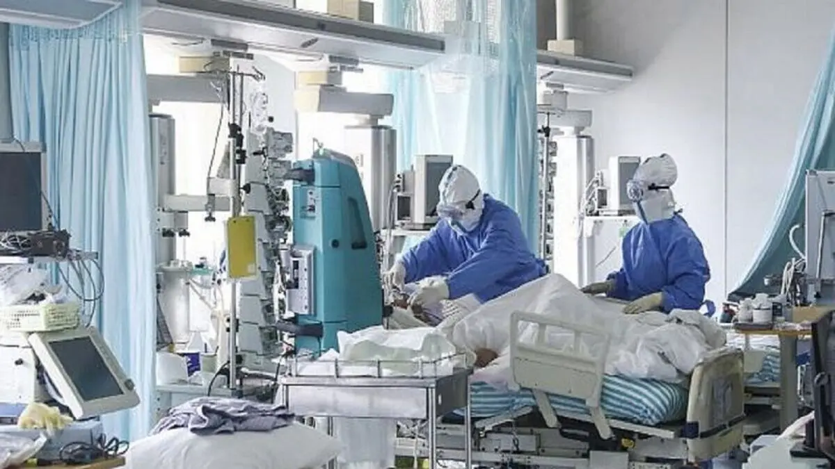 شناسایی ۱۹۹ بیمار مبتلا به کرونا در تربت حیدریه