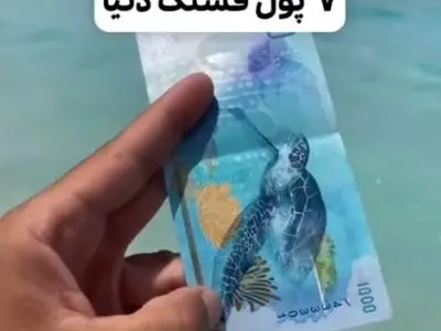 asdasd