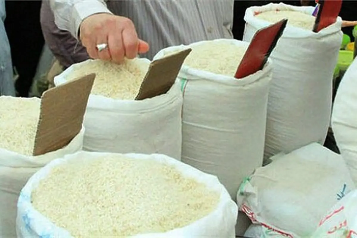 تصمیمات دولت در نرخ گذاری ؛ دلیل آشفتگی بازار برنج 