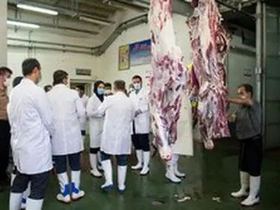 کمبود دامپزشک بومی از جمله مشکلات دامپزشکی مرکزی است / کمبود کشتارگاه صنعتی دام در استان 