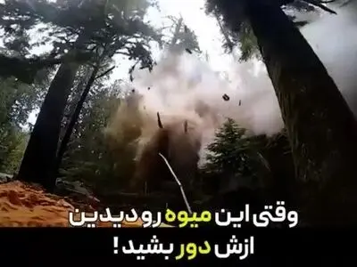 خطرناکترین میوه جهان + فیلم