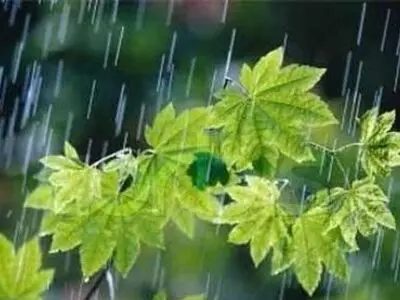 پیش‌بینی بارش باران و کاهش ۱۰ درجه‌ای دمای هوای در خراسان رضوی