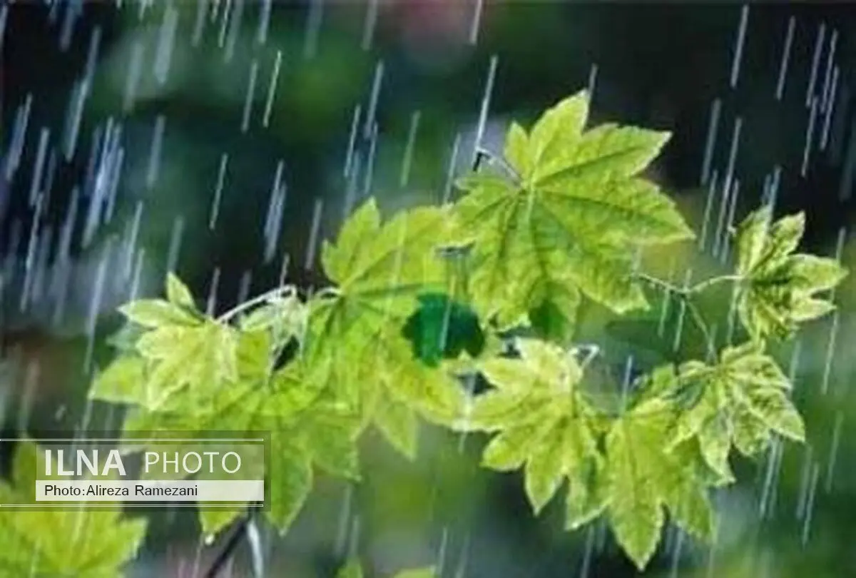 کاهش 20درصدی میزان بارش باران 