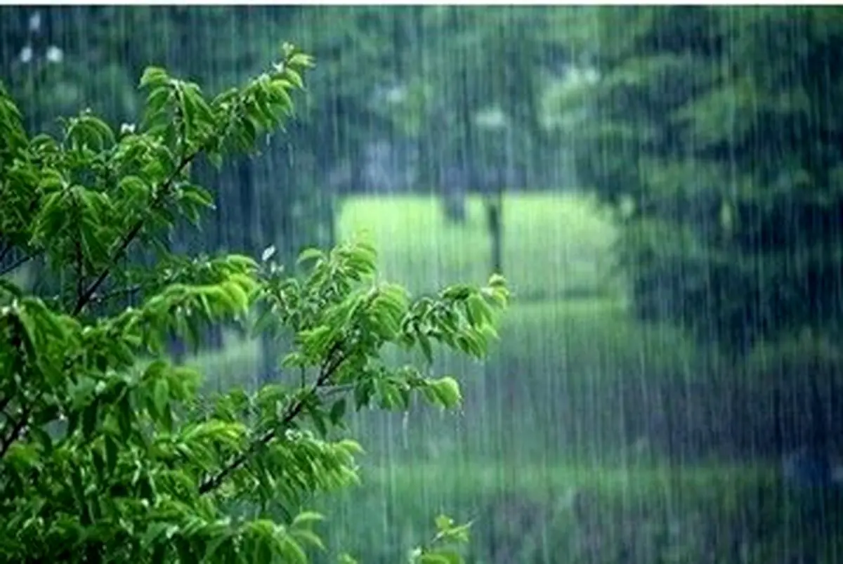 بارش باران در سواحل دریای خزر

