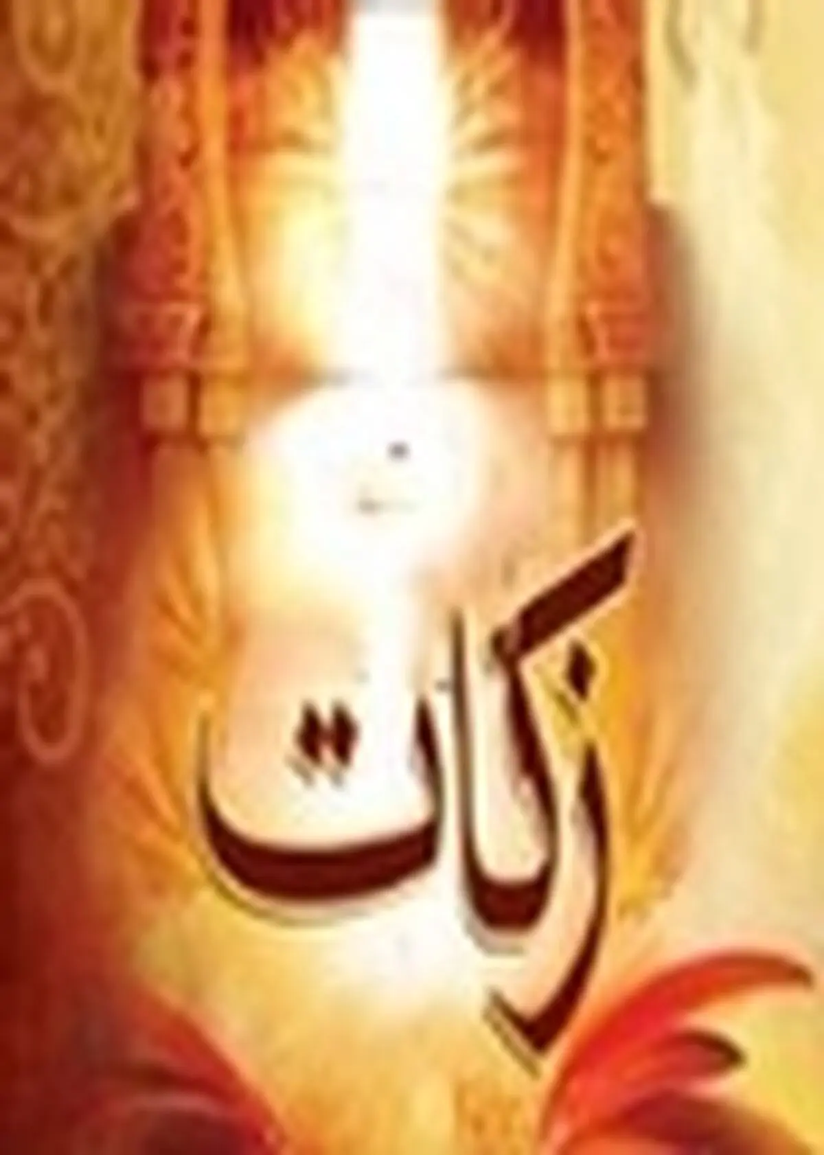 جمع‌آوری ۹۱ میلیارد ریال زکات در استان زنجان