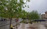 بارش پراکنده در تهران از شنبه