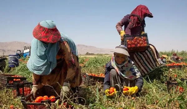 یک فعال صنفی کارگران بانه در گفت‌گو با ایلنا: