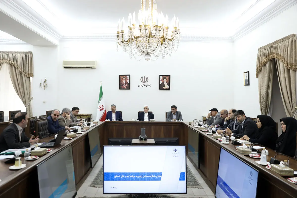 طرح اصلاح زنجیره عرضه آرد و نان با توجه به بیانضباطی کنونی در دستور کار دولت است