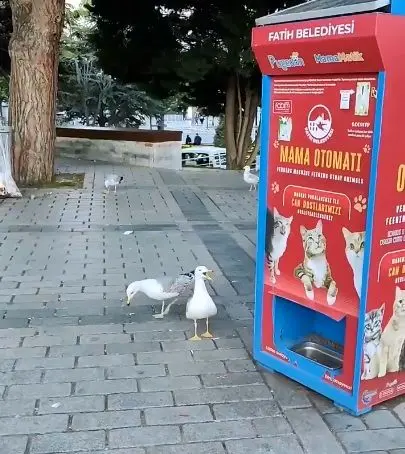 asdasd