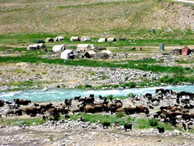 خروج تمامی دام‌ها از مراتع پارک ملی لار