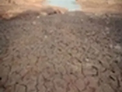 مردم باید نسبت به آسیب‌های خشکسالی آگاه شوند