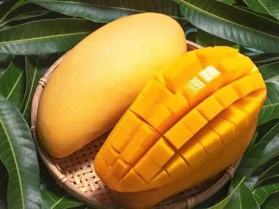 انبه شیرین‌ترین داروی طبیعت برای بدن/فیلم