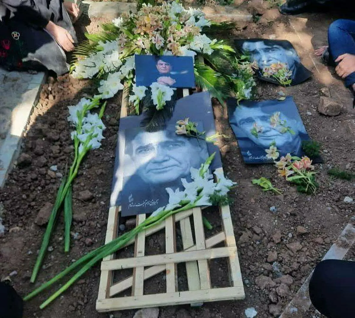 گرمی آواز همایون وخواهرش سرما را از یادها بردند 