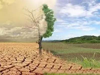 دشت خانمیرزا هم‌اکنون به دشت ممنوعه بحرانی تبدیل شده است