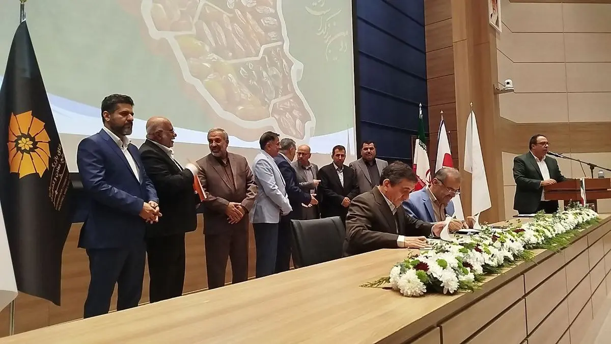 نخل و خرما فقط یک درخت و میوه نیستند هویت مردم خوزستان هستند/ خرمای ایران در جهان خلق ثروت می کند اما در ایران خام فروشی می شود