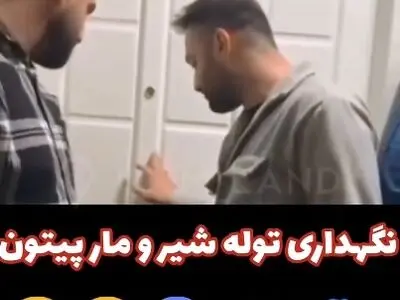 نگهداری توله شیر و مار پیتون در آپارتمان + فیلم