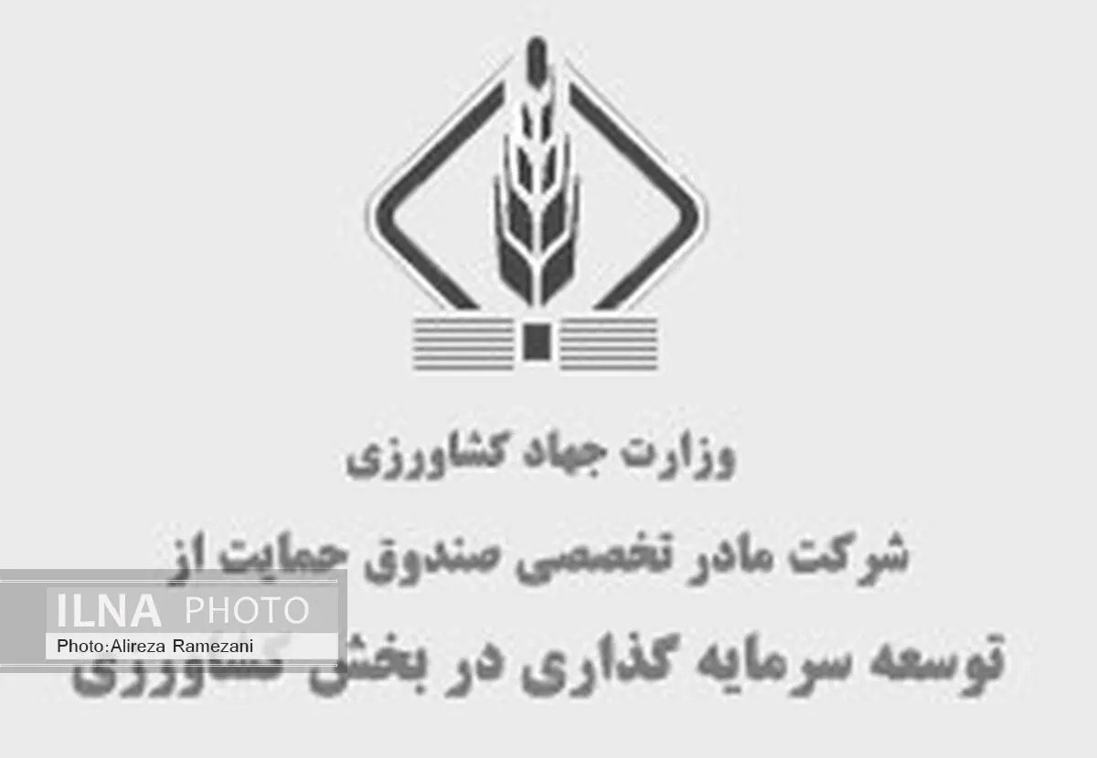 سرمایه 1200 میلیارد تومانی صندوق‌های غیردولتی حمایت از توسعه بخش کشاورزی 