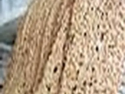 افزایش قیمت نان افزایش کیفیت نان را به دنبال دارد