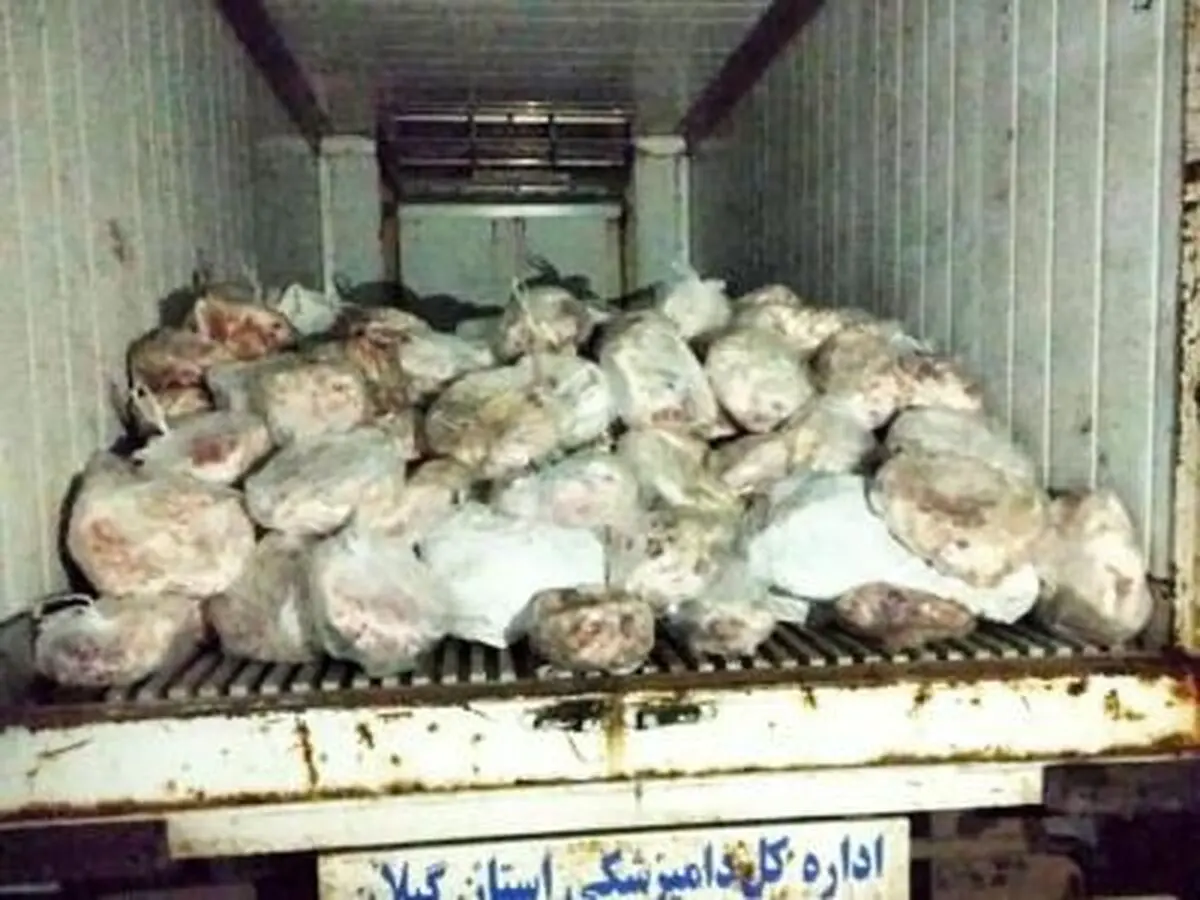 کشف ۱۳۳۰ کیلوگرم گوشت فاسد در بازار رشت / حبس و جریمه در انتظار متخلفین 