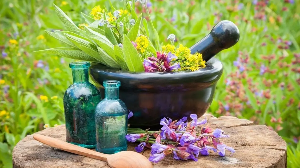 تخصیص تسهیلات کم بهره برای توسعه‌ کشت گیاهان دارویی در سبزوار
