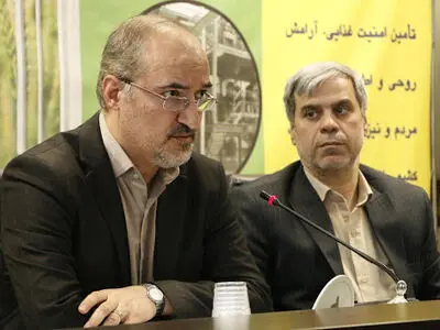 صادرات تخم‌مرغ از شهر قم به کشورهای قطر، عراق و عمان