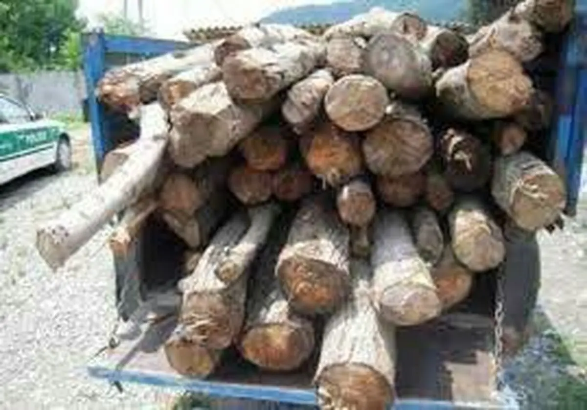 کشف بیش از 4 تن چوب جنگلی قاچاق در لردگان