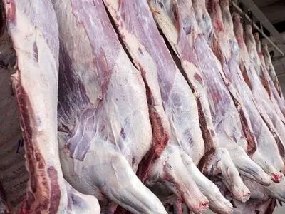افزایش قیمت گوشت گوسفندی تا مرز 43 هزار تومان/ تزریق گوشت سوبسید دار وارداتی به بازار