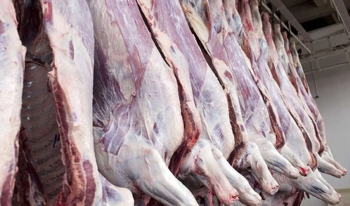 قیمت گوسفند زنده و انواع گوشت گوسفند امروز ۱۲ آبان ۱۴۰۳
