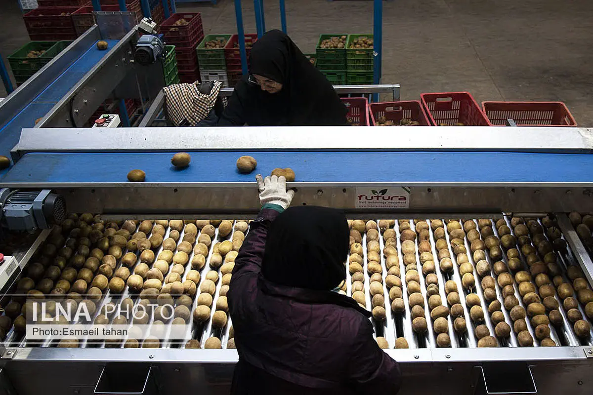 حقوق پایین و ترس از اخراج/ زنان کارگر رنج می‌برند…