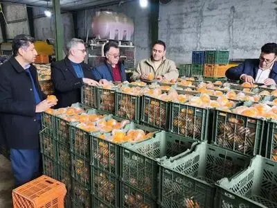 افتتاح و کلنگ زنی۲۳ پروژه اشتغال‌آفرین  در آذربایجان غربی/۴۰۰ تن میوه برای شب عید و ماه رمضان خریداری شده است