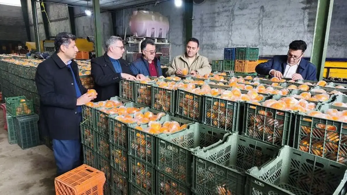 افتتاح و کلنگ زنی۲۳ پروژه اشتغال‌آفرین  در آذربایجان غربی/۴۰۰ تن میوه برای شب عید و ماه رمضان خریداری شده است