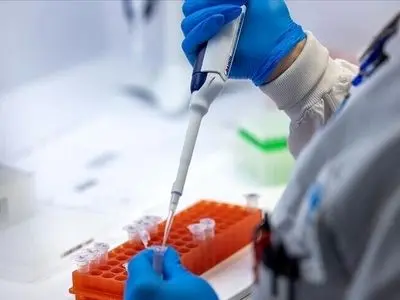 شیوع تب دنگی به سطح اپیدمی رسیده است