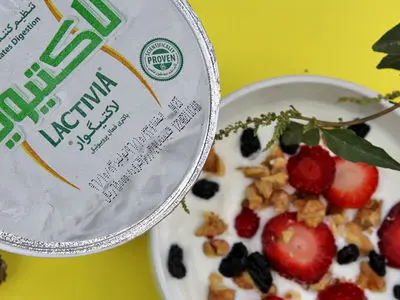 ارتباط روده و مغز و لزوم مصرف ماست پروبیوتیک لاکتیویا